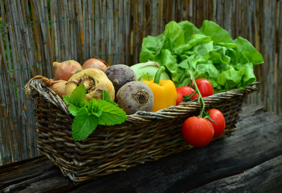 vegetables_vegetable_basket_harvest_garden_salad_eat_healthy_frisch-879579.jpg